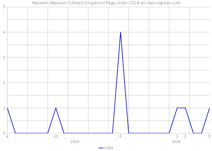Waseem Waseem (United Kingdom) Page visits 2024 