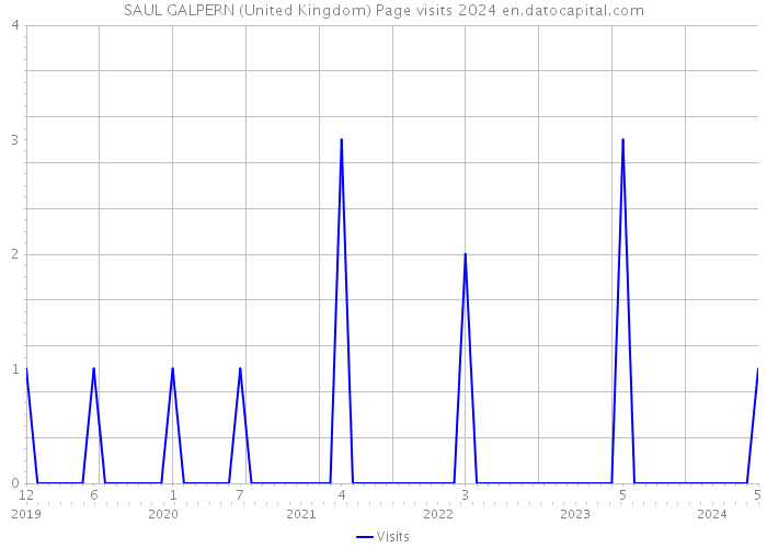 SAUL GALPERN (United Kingdom) Page visits 2024 