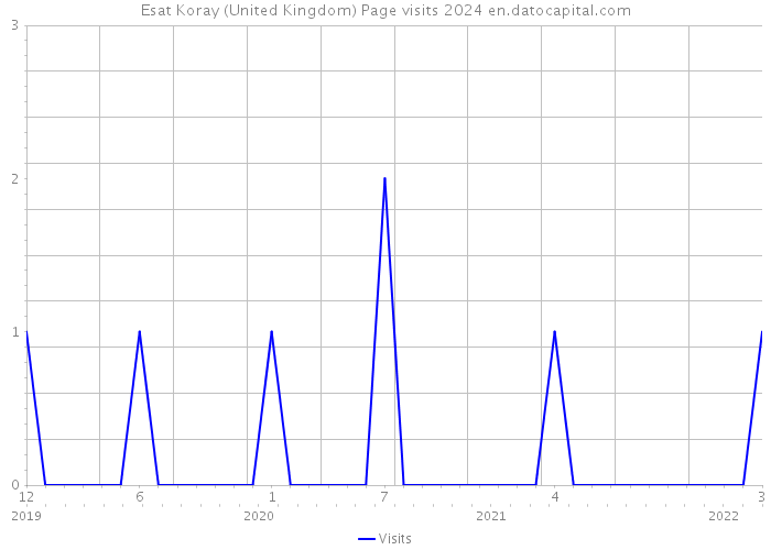 Esat Koray (United Kingdom) Page visits 2024 