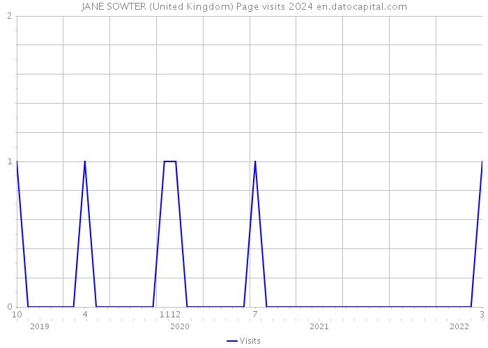 JANE SOWTER (United Kingdom) Page visits 2024 