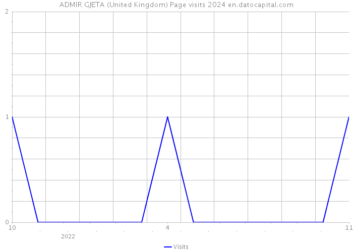ADMIR GJETA (United Kingdom) Page visits 2024 