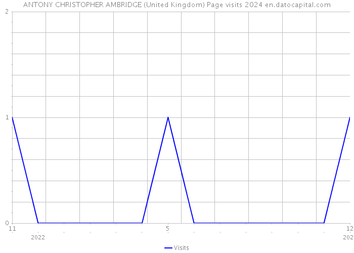 ANTONY CHRISTOPHER AMBRIDGE (United Kingdom) Page visits 2024 