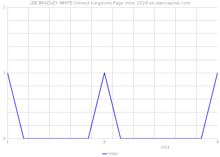 LEE BRADLEY WHITE (United Kingdom) Page visits 2024 