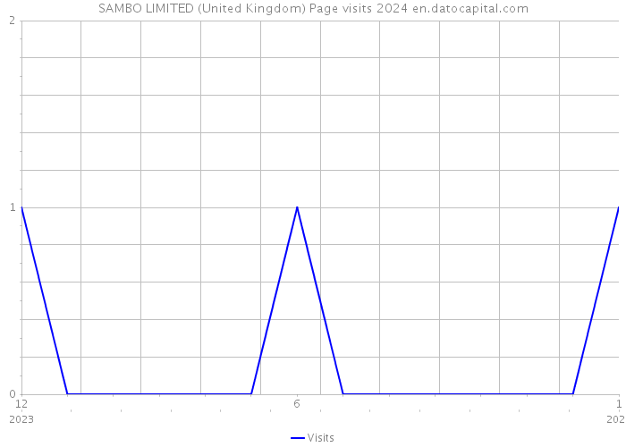 SAMBO LIMITED (United Kingdom) Page visits 2024 