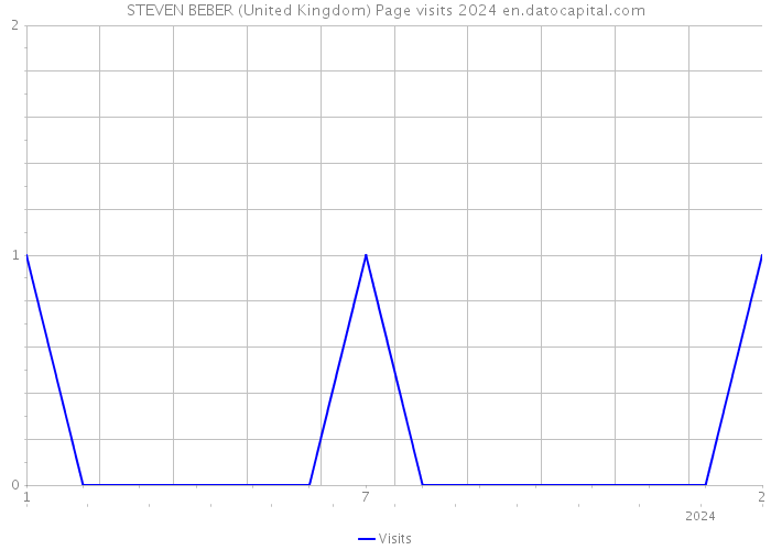 STEVEN BEBER (United Kingdom) Page visits 2024 