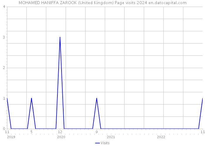 MOHAMED HANIFFA ZAROOK (United Kingdom) Page visits 2024 