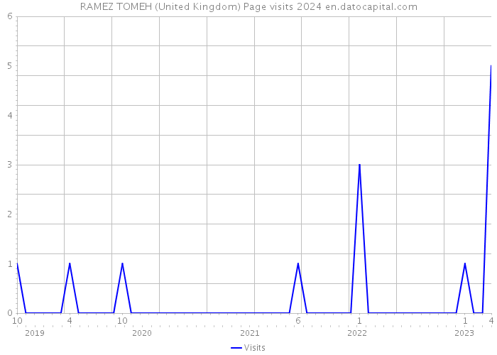 RAMEZ TOMEH (United Kingdom) Page visits 2024 