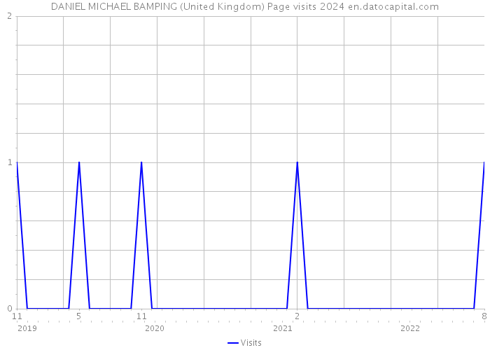 DANIEL MICHAEL BAMPING (United Kingdom) Page visits 2024 