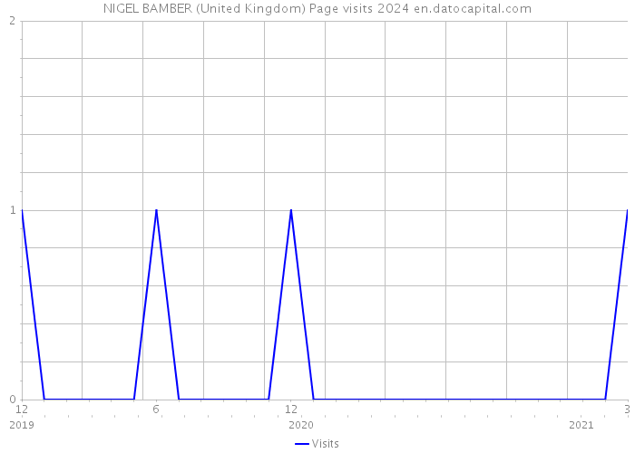 NIGEL BAMBER (United Kingdom) Page visits 2024 