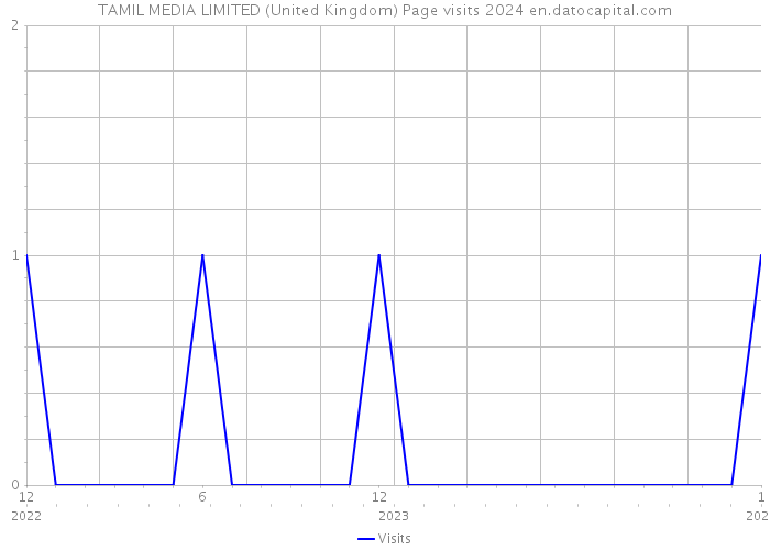 TAMIL MEDIA LIMITED (United Kingdom) Page visits 2024 