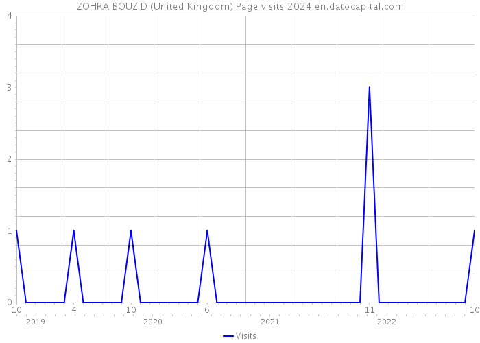 ZOHRA BOUZID (United Kingdom) Page visits 2024 