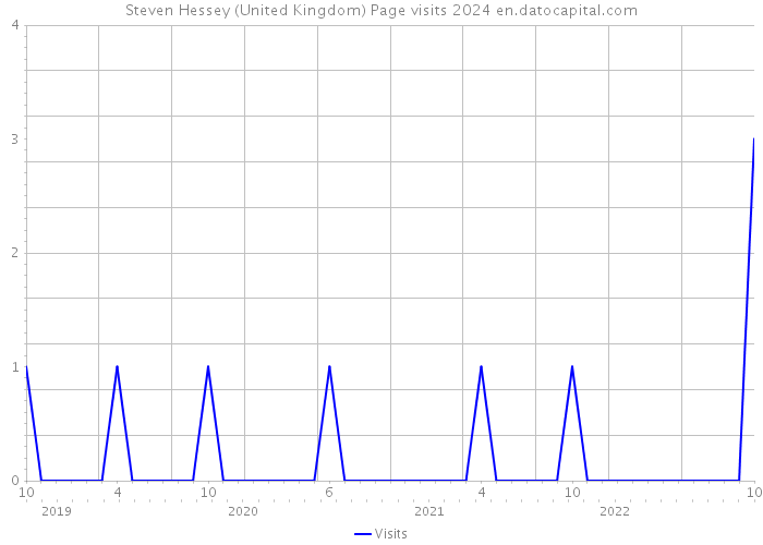 Steven Hessey (United Kingdom) Page visits 2024 
