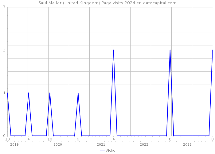 Saul Mellor (United Kingdom) Page visits 2024 
