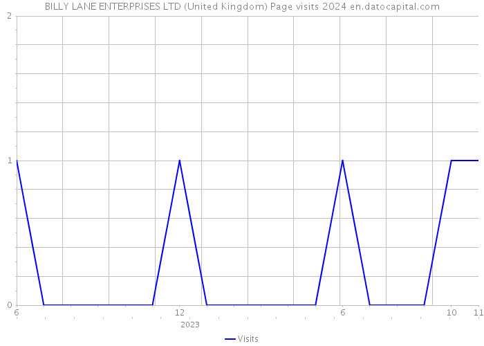 BILLY LANE ENTERPRISES LTD (United Kingdom) Page visits 2024 