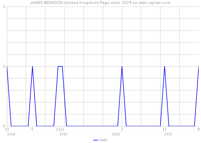 JAMES BEARDON (United Kingdom) Page visits 2024 