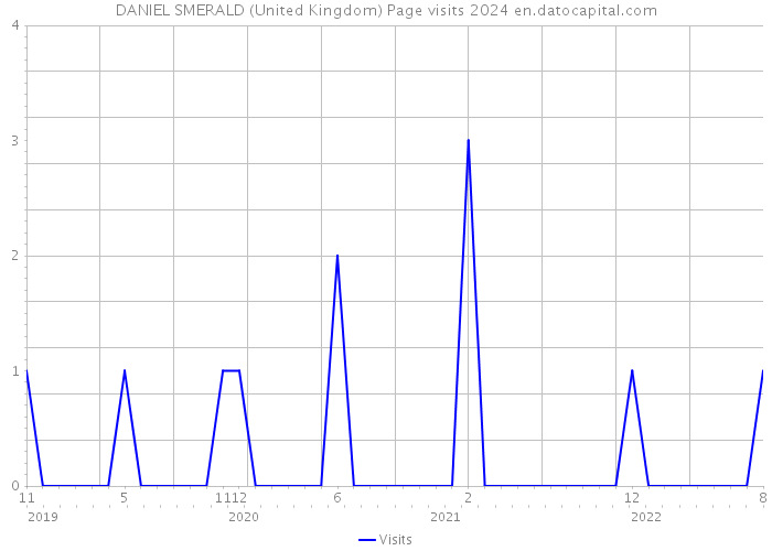 DANIEL SMERALD (United Kingdom) Page visits 2024 