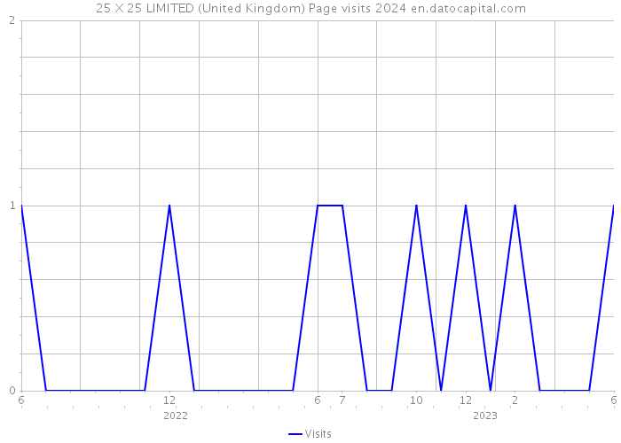 25 X 25 LIMITED (United Kingdom) Page visits 2024 