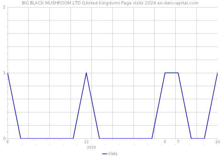BIG BLACK MUSHROOM LTD (United Kingdom) Page visits 2024 