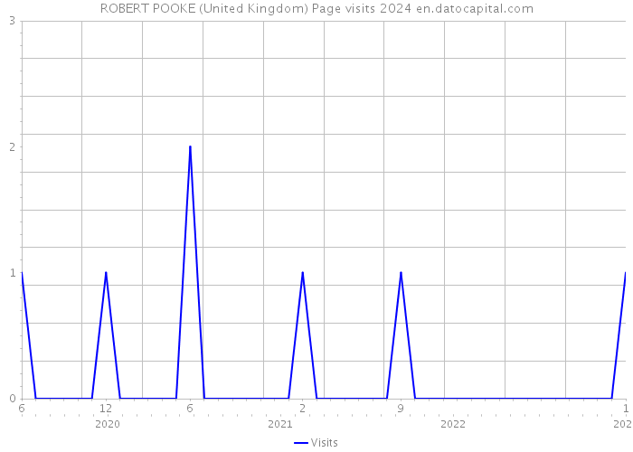 ROBERT POOKE (United Kingdom) Page visits 2024 