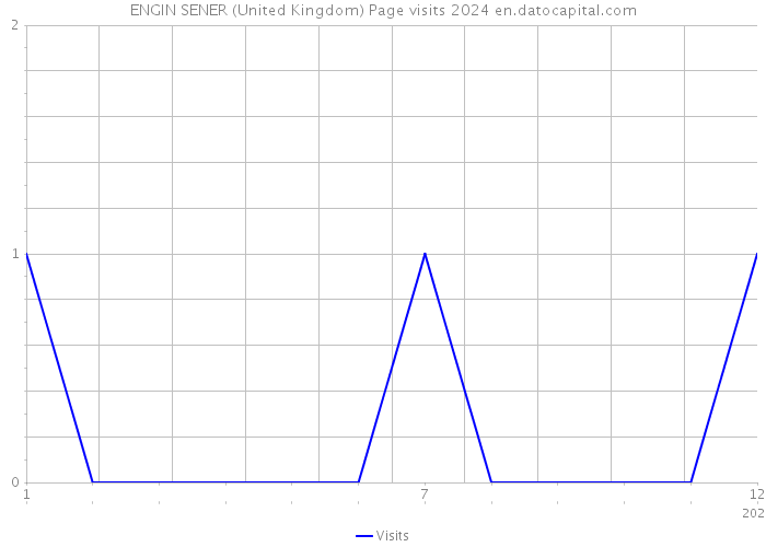 ENGIN SENER (United Kingdom) Page visits 2024 