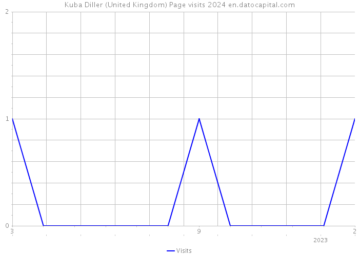 Kuba Diller (United Kingdom) Page visits 2024 