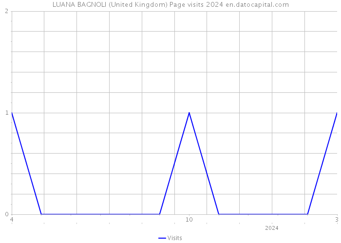 LUANA BAGNOLI (United Kingdom) Page visits 2024 