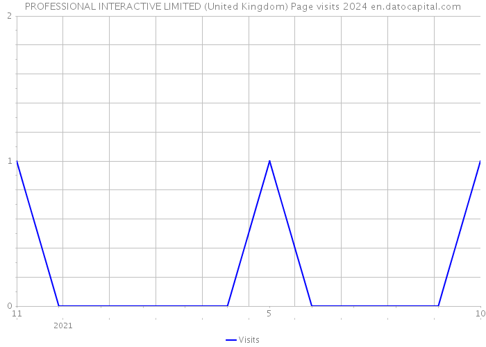 PROFESSIONAL INTERACTIVE LIMITED (United Kingdom) Page visits 2024 