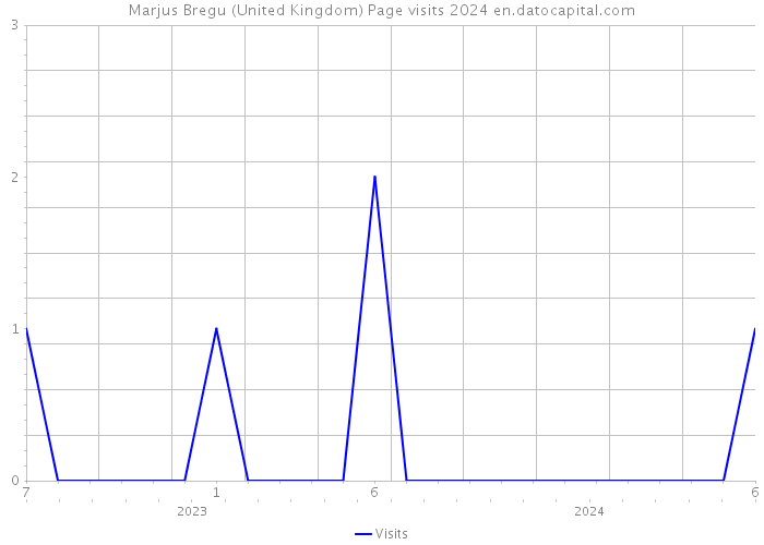 Marjus Bregu (United Kingdom) Page visits 2024 