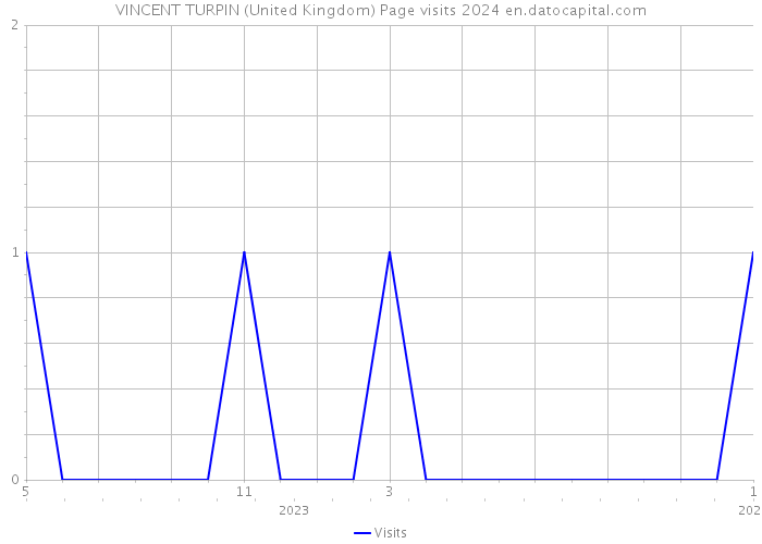 VINCENT TURPIN (United Kingdom) Page visits 2024 