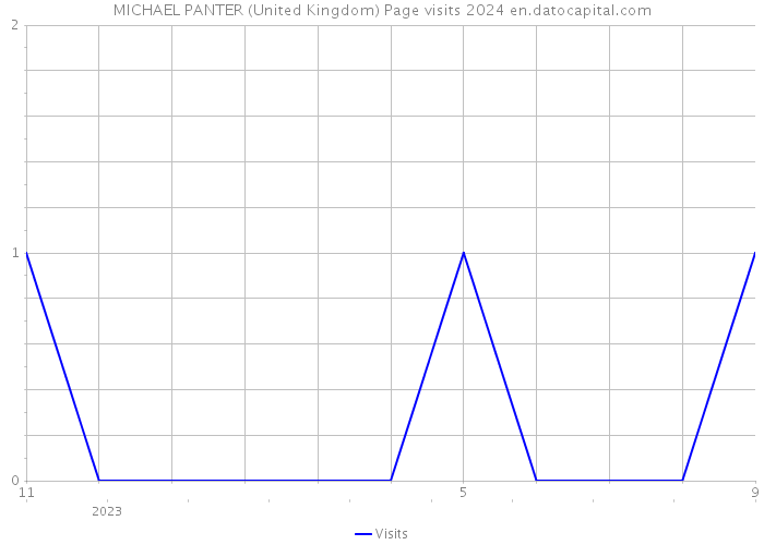 MICHAEL PANTER (United Kingdom) Page visits 2024 