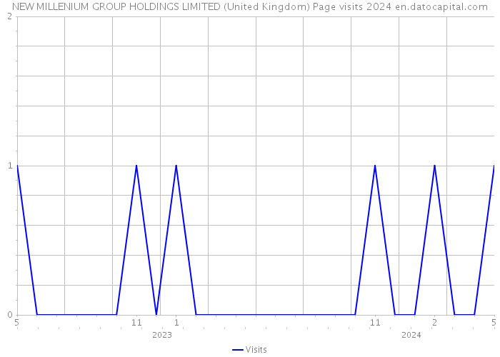 NEW MILLENIUM GROUP HOLDINGS LIMITED (United Kingdom) Page visits 2024 