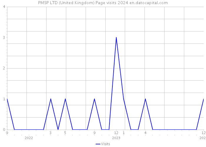 PMSP LTD (United Kingdom) Page visits 2024 