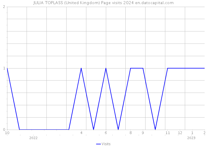 JULIA TOPLASS (United Kingdom) Page visits 2024 