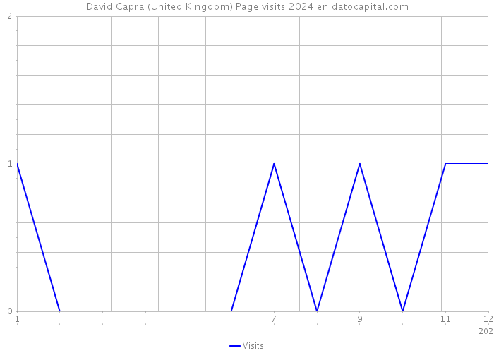 David Capra (United Kingdom) Page visits 2024 