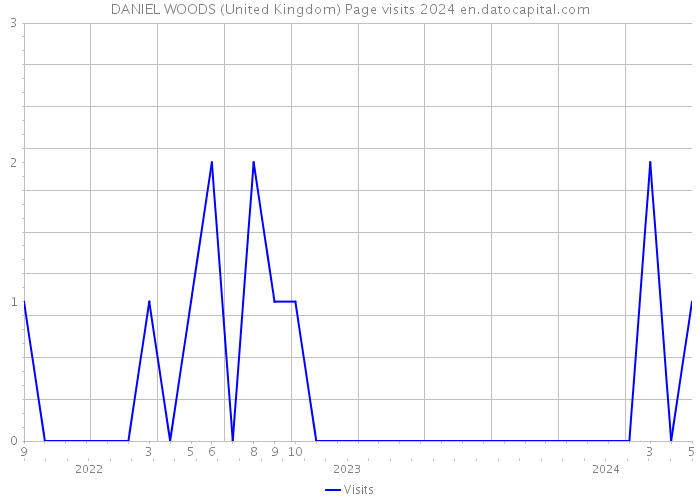 DANIEL WOODS (United Kingdom) Page visits 2024 