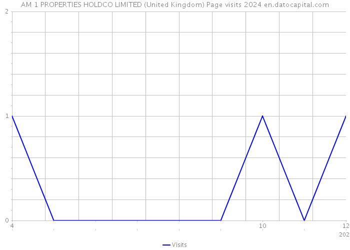 AM 1 PROPERTIES HOLDCO LIMITED (United Kingdom) Page visits 2024 