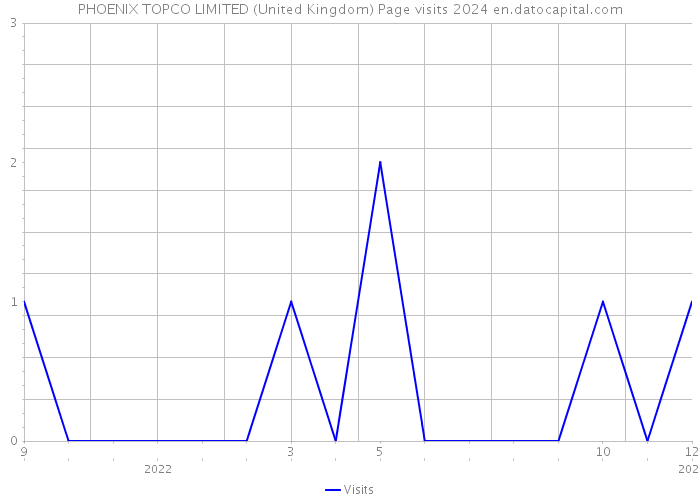 PHOENIX TOPCO LIMITED (United Kingdom) Page visits 2024 