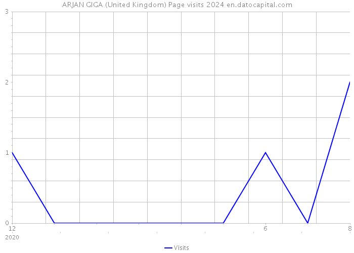 ARJAN GIGA (United Kingdom) Page visits 2024 