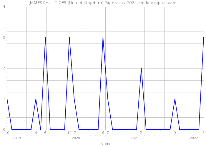 JAMES PAUL TICER (United Kingdom) Page visits 2024 