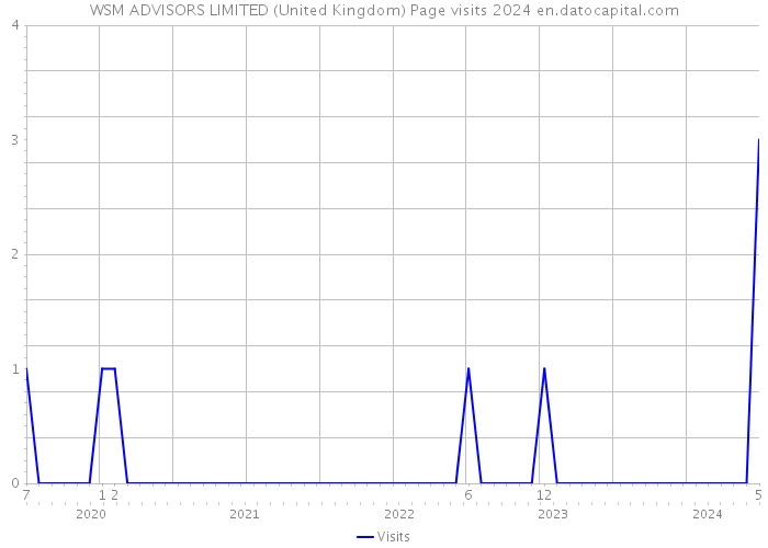 WSM ADVISORS LIMITED (United Kingdom) Page visits 2024 