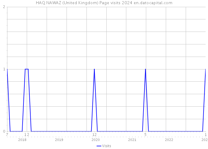 HAQ NAWAZ (United Kingdom) Page visits 2024 