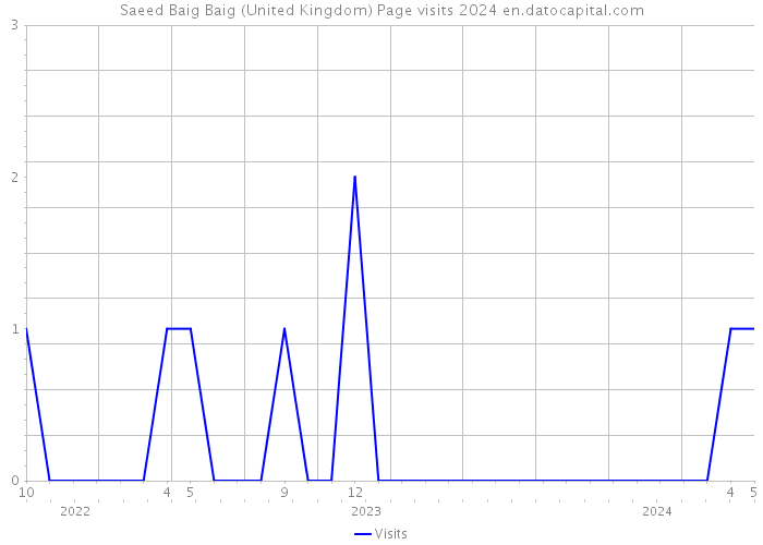 Saeed Baig Baig (United Kingdom) Page visits 2024 