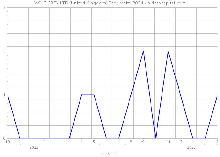 WOLF GREY LTD (United Kingdom) Page visits 2024 