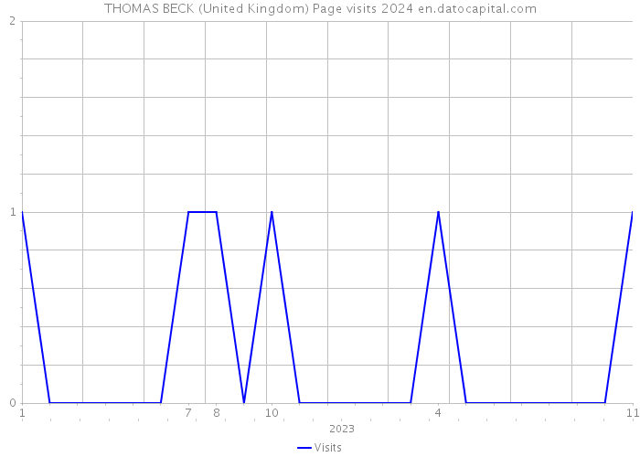 THOMAS BECK (United Kingdom) Page visits 2024 