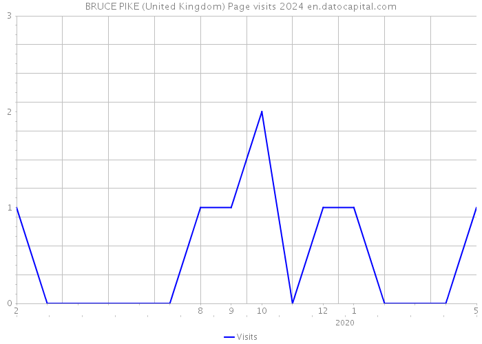 BRUCE PIKE (United Kingdom) Page visits 2024 