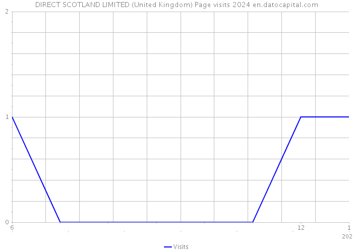 DIRECT SCOTLAND LIMITED (United Kingdom) Page visits 2024 