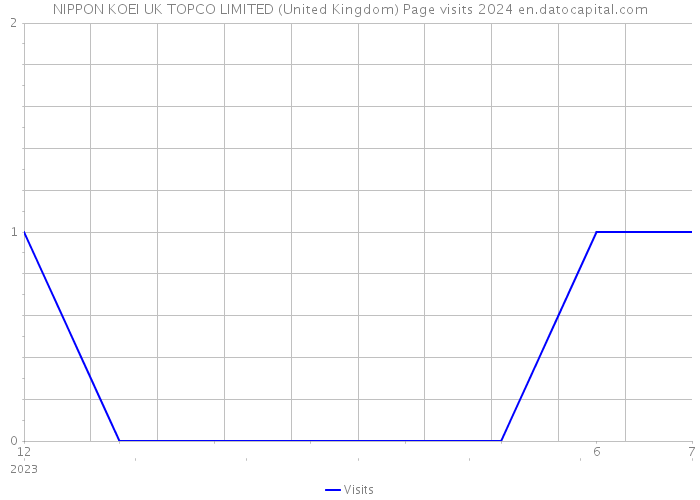 NIPPON KOEI UK TOPCO LIMITED (United Kingdom) Page visits 2024 