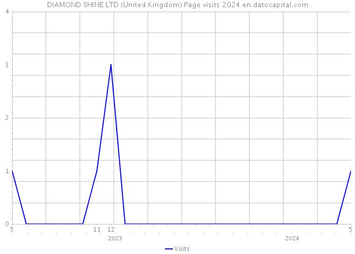 DIAMOND SHINE LTD (United Kingdom) Page visits 2024 
