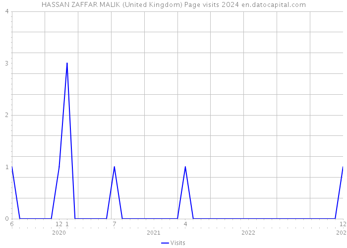 HASSAN ZAFFAR MALIK (United Kingdom) Page visits 2024 