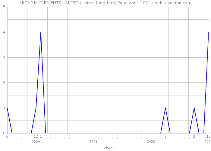 MICAP INGREDIENTS LIMITED (United Kingdom) Page visits 2024 